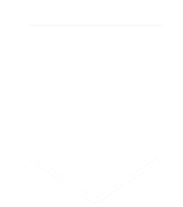 Torvalds logo emty white